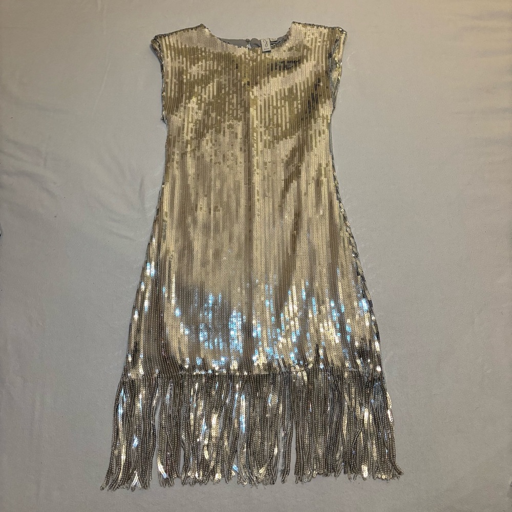 Joie Sequin Sheath Cocktail Dress Silver Tassel Size S 20s Flapper Disco Vegas